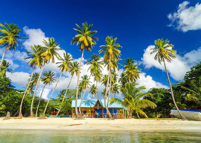 Tropical beach scene in the Caribbean with palm trees, white sand, and a colorful beach house under a blue sky.